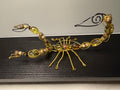 Midas Stinger