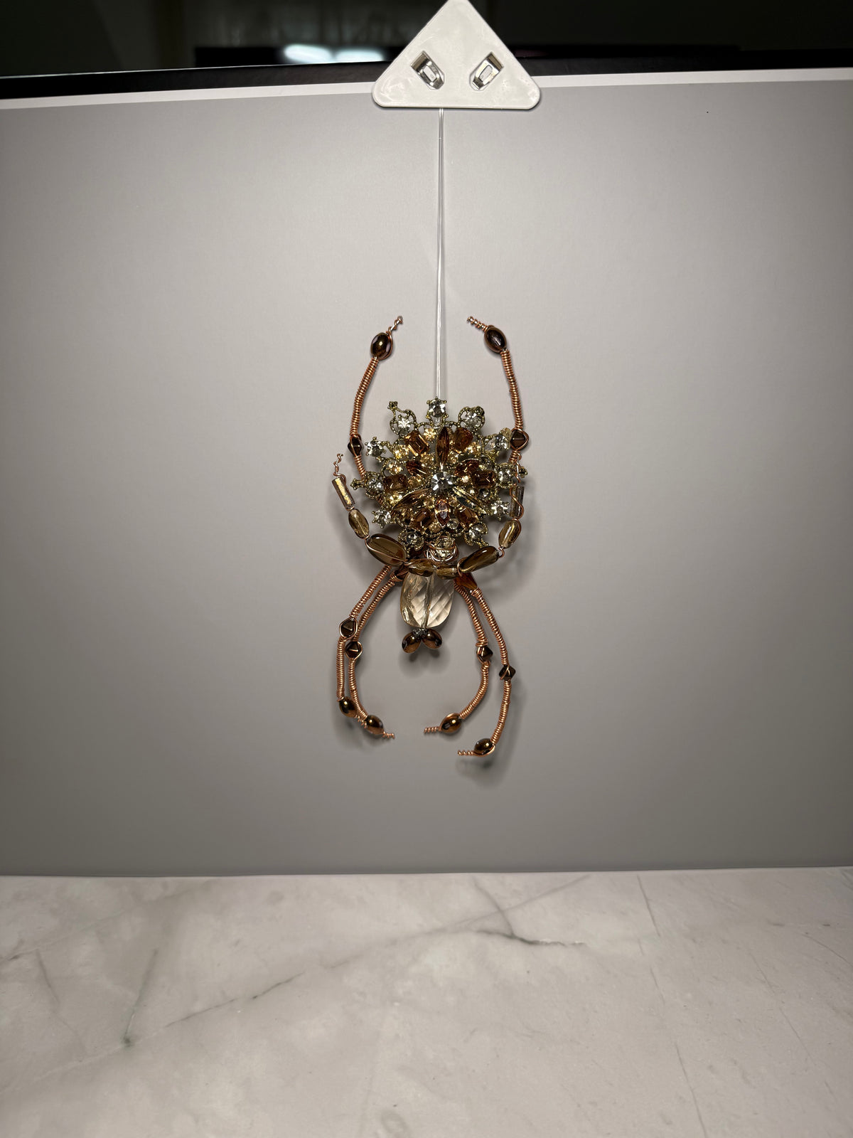 Maple Spinner hanging spider